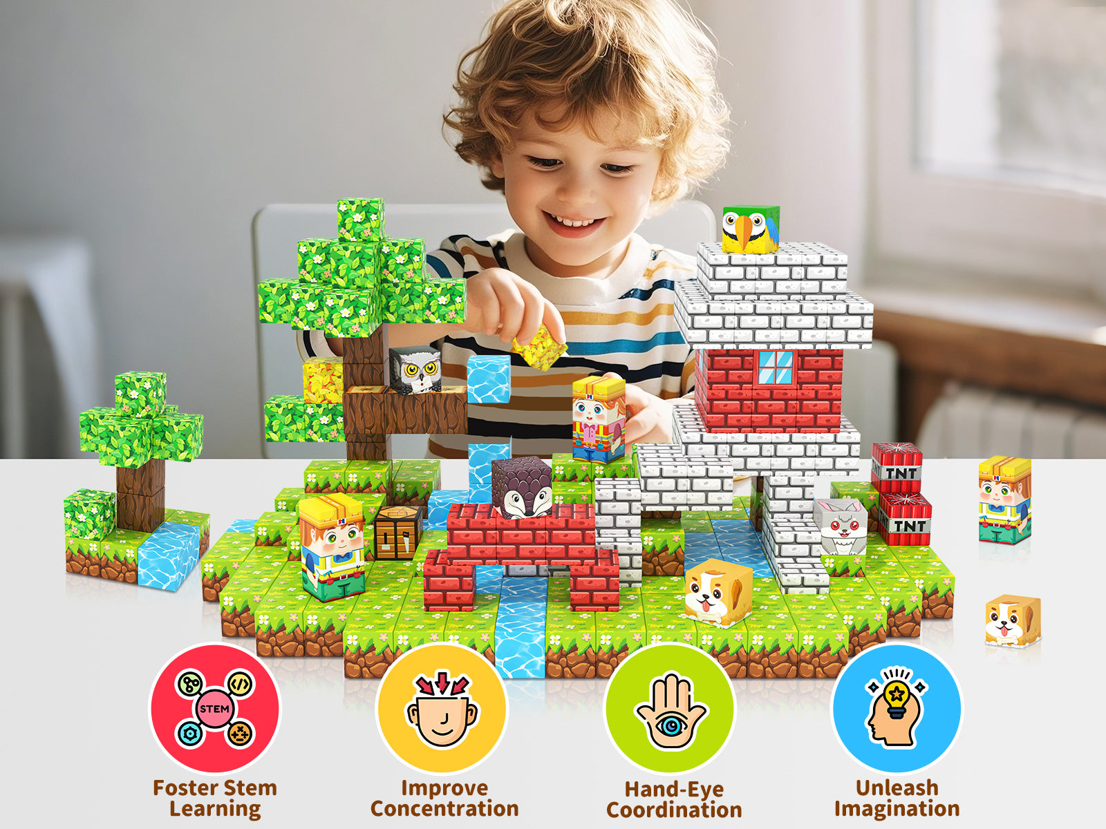MagWorld Story Pack 2026-06-16: Forest Birds Story Pack image 5