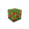 Tomato MagWorld magnetic module